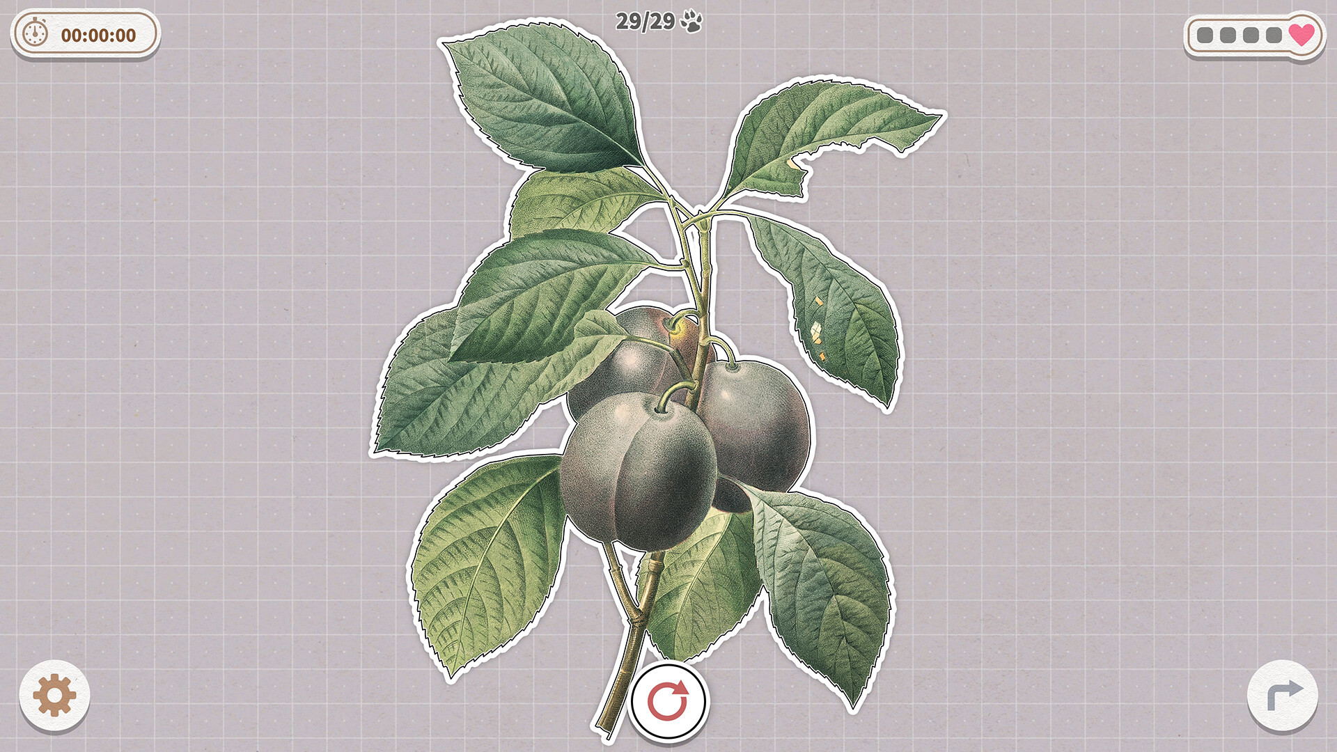 挤在一起的植物/Plants Huddled Together_1