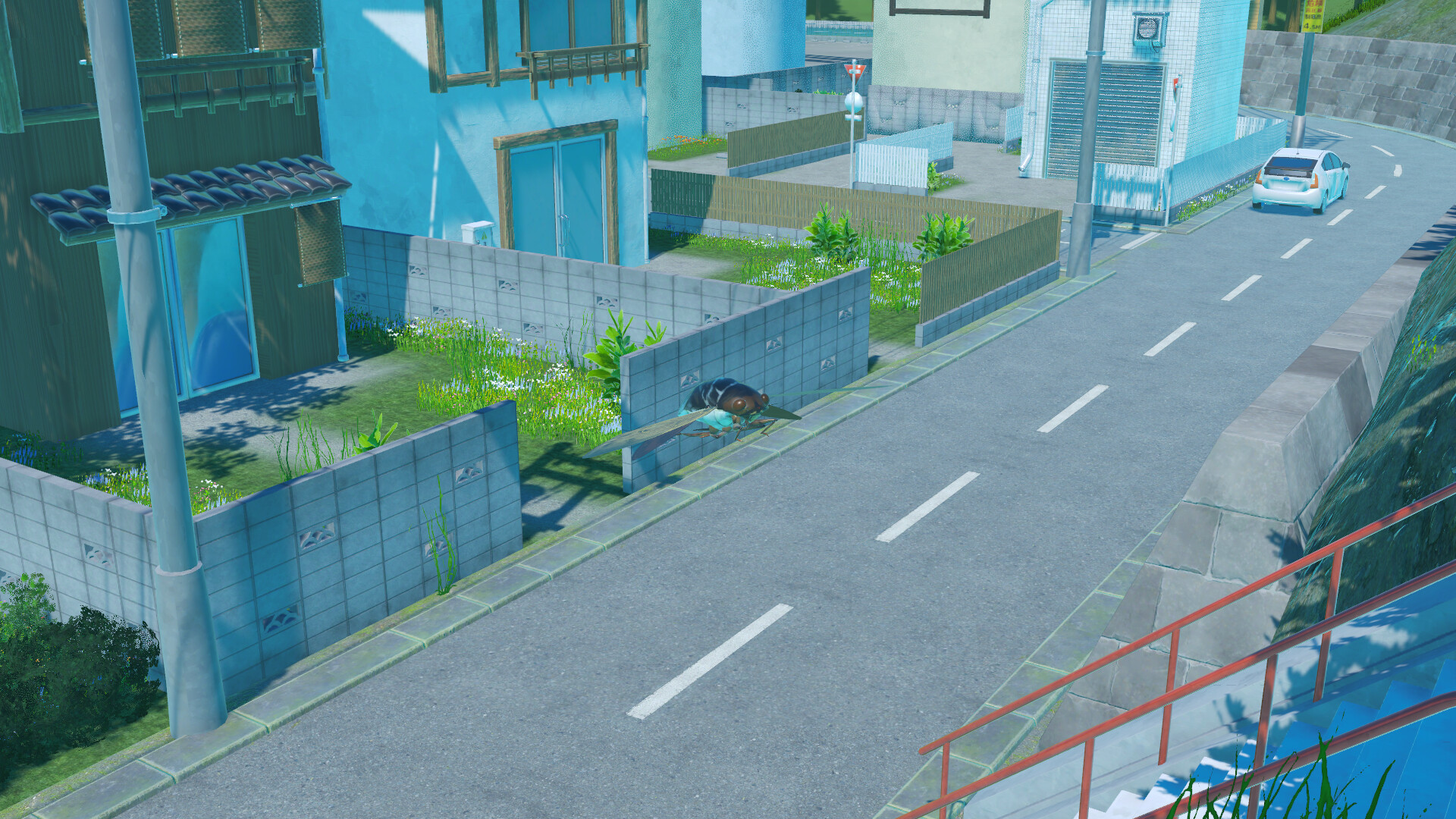 蝉之生存/CICADA_4