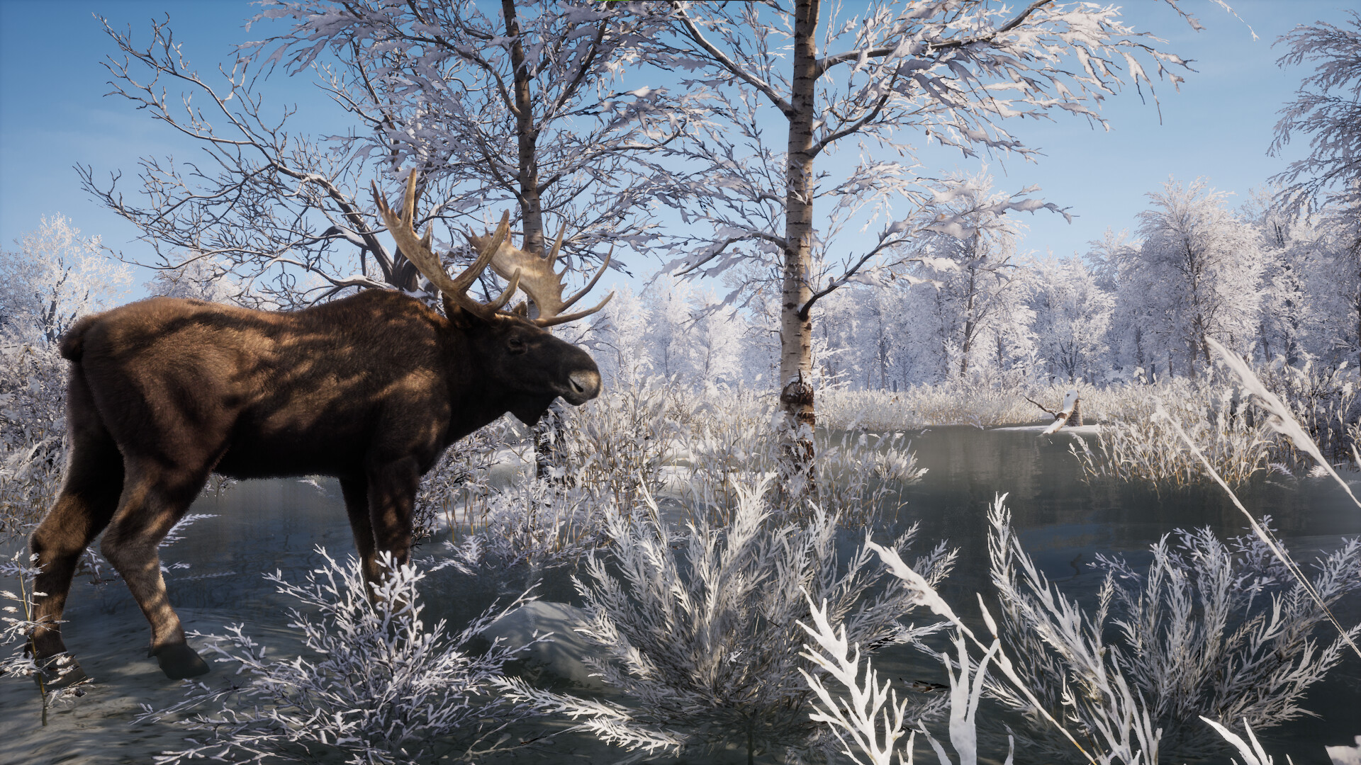 中世纪王朝/Medieval Dynasty_0