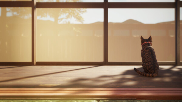 猫还在逃吗？/Still It Runs_2