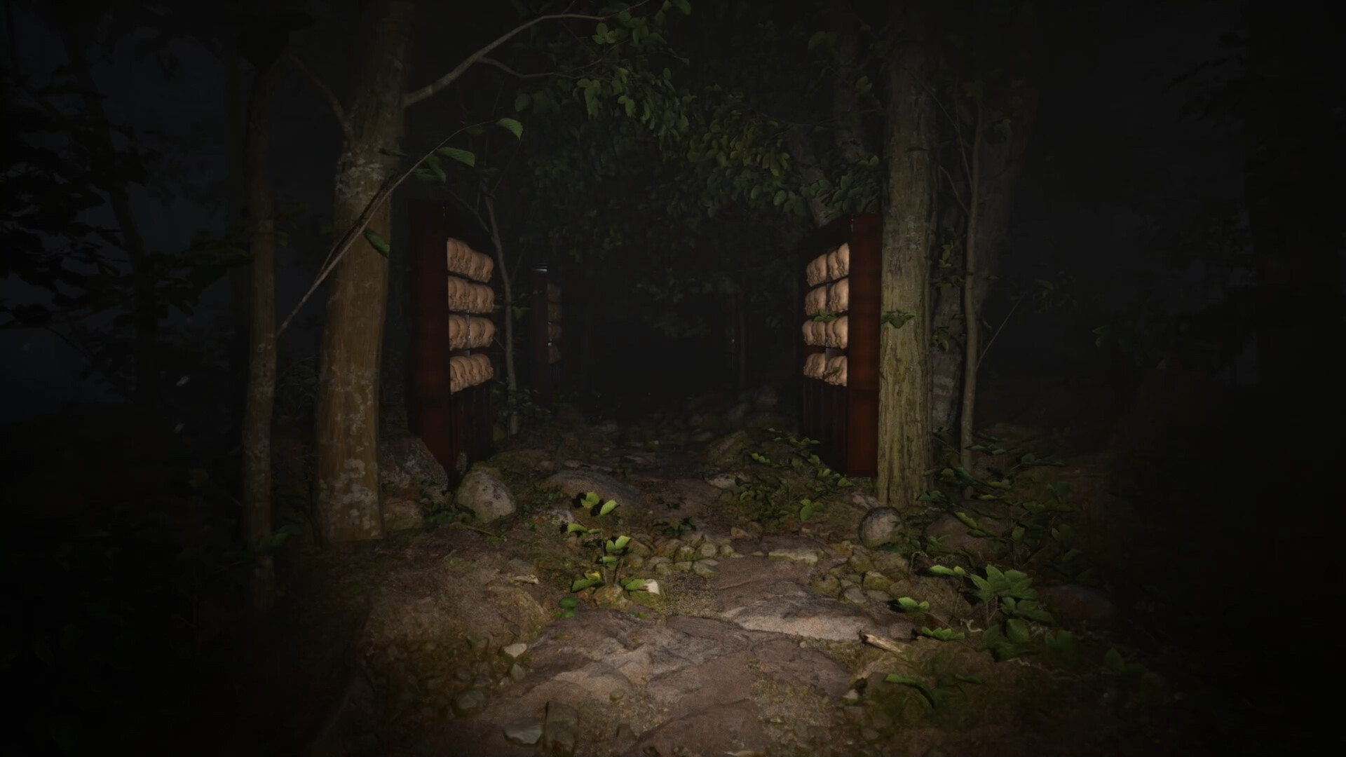 雾锁温泉/Misty Onsen_0