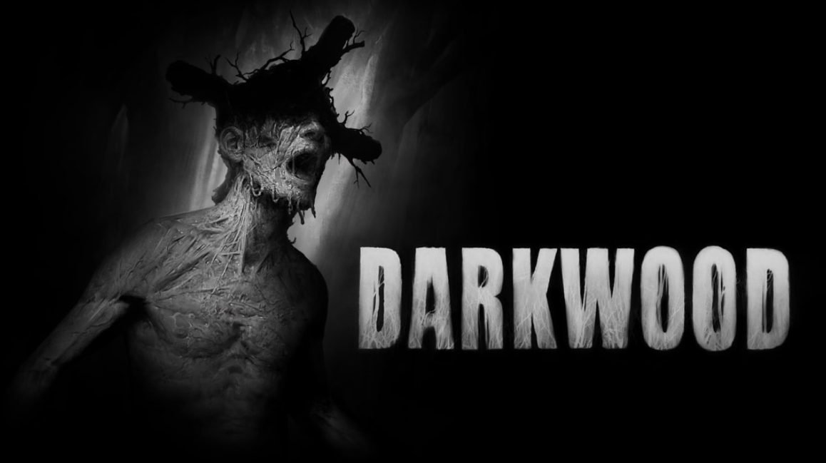 阴暗森林 Darkwood_0