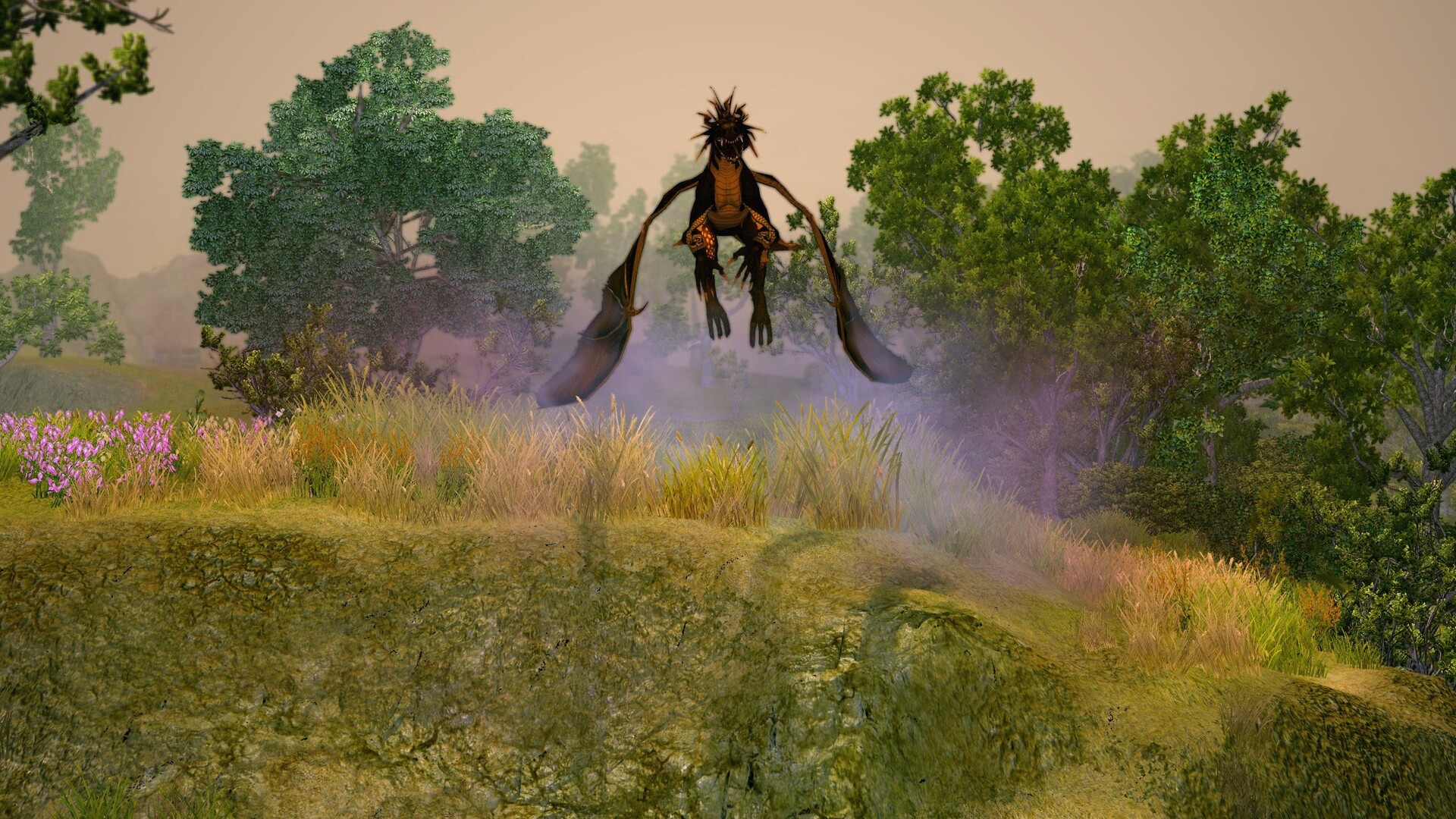 圣域2：重制版/Sacred 2 Remaster_3