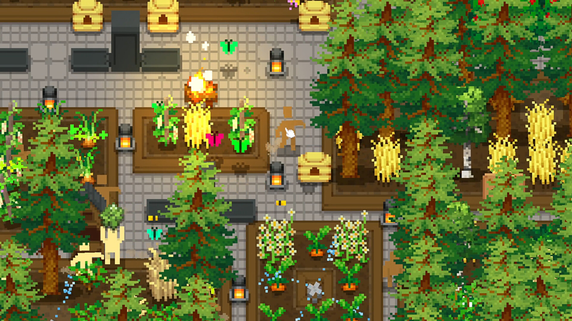 小梯田/Tiny Terraces_1