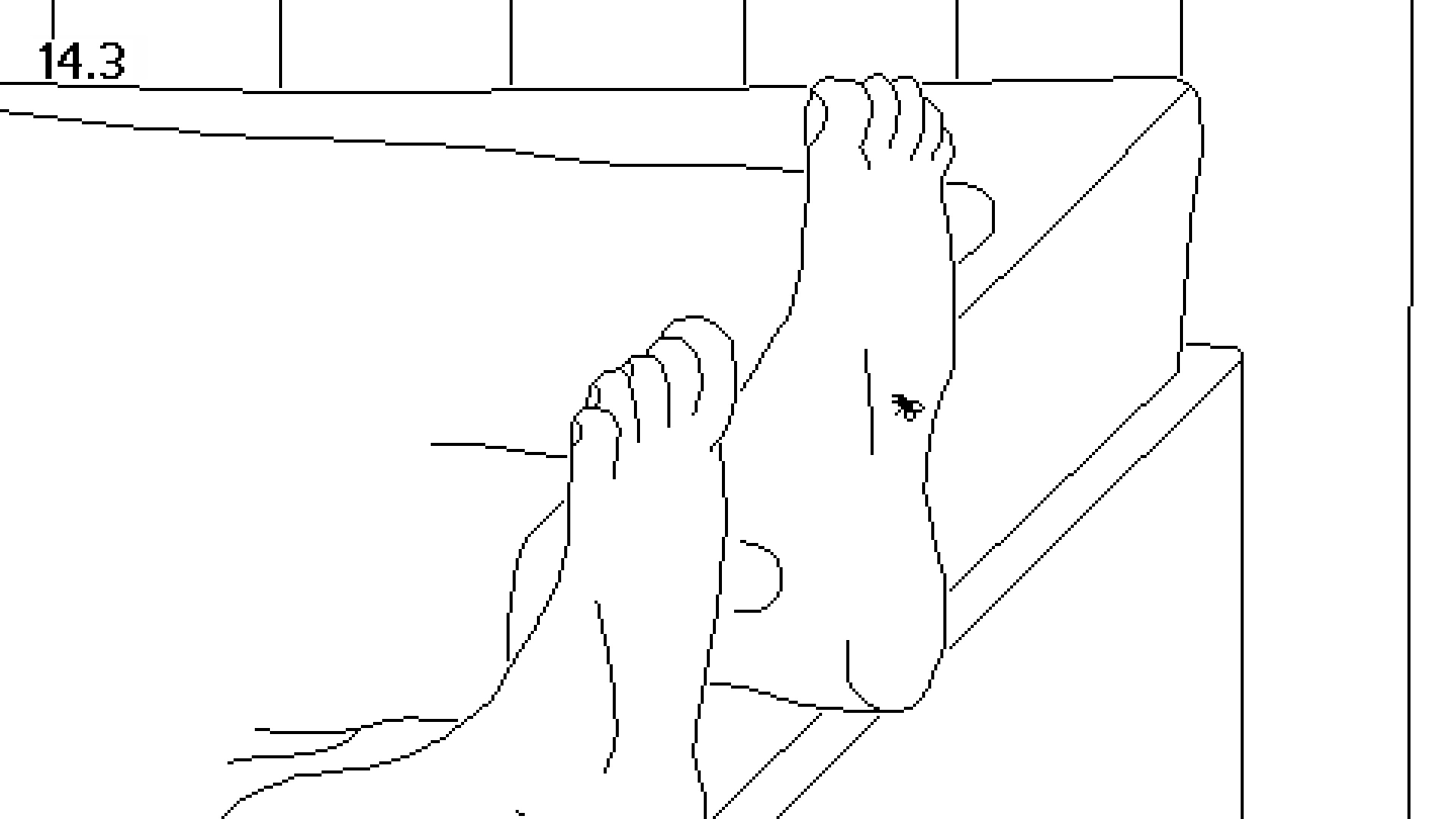 逝者如斯蝇 Time Flies_2