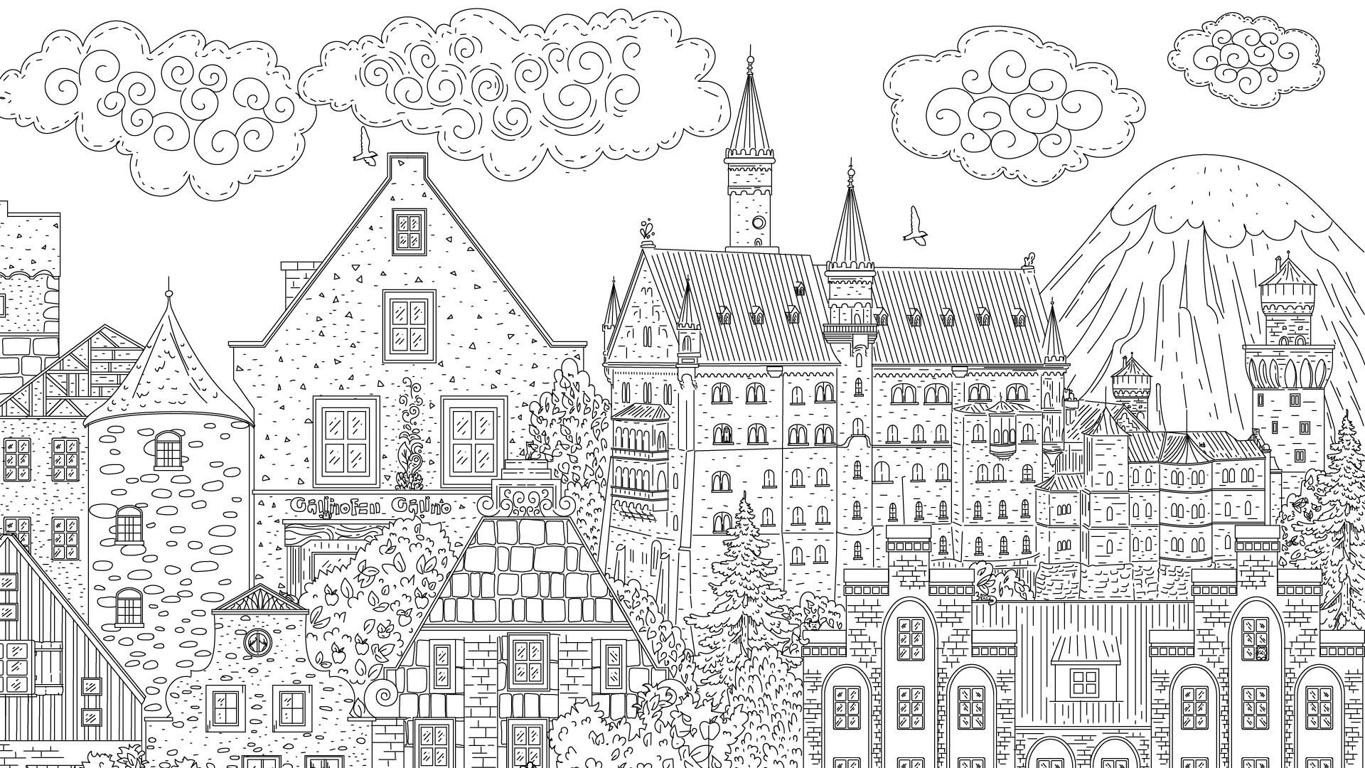 隐藏在德国的猫/Cats Hidden in Germany_2