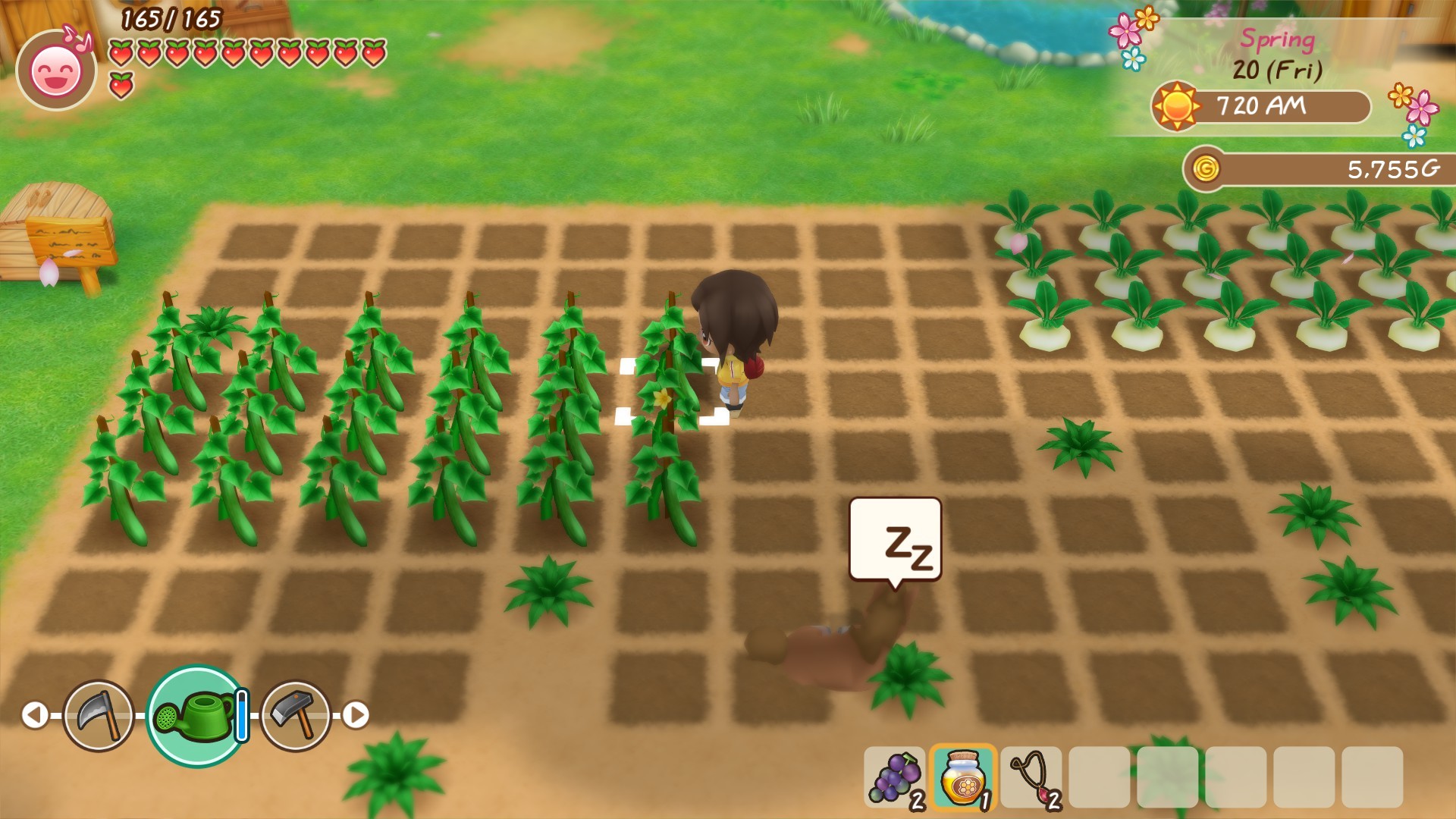 《牧场物语：重聚矿石镇 Story of Seasons: Friends of Mineral Town》Switch港版中文NSP下载 – 含1.1.6补丁+5DLC