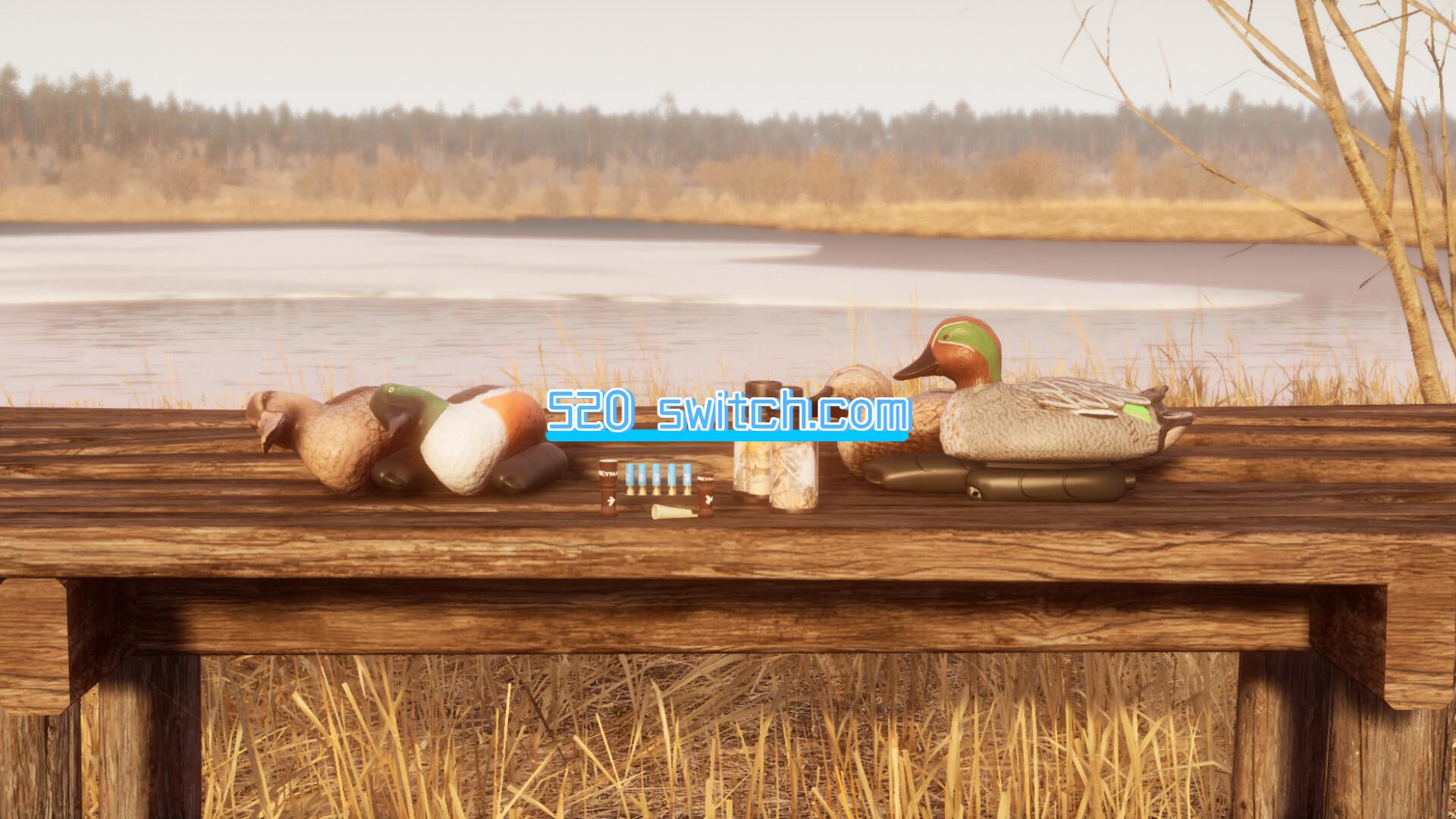 BULT：狩猎模拟器/BULT: Hunting simulator_0