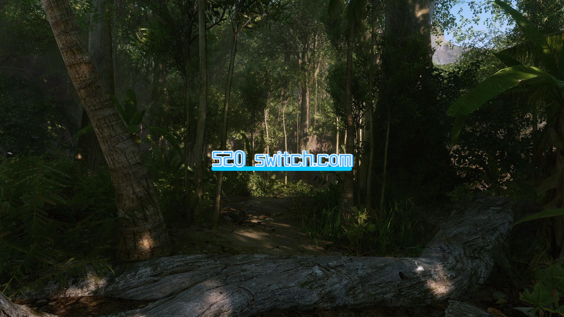 《孤岛危机 复刻版 Crysis Remastered》Switch美版中文NSP下载 – 含1.8.0补丁