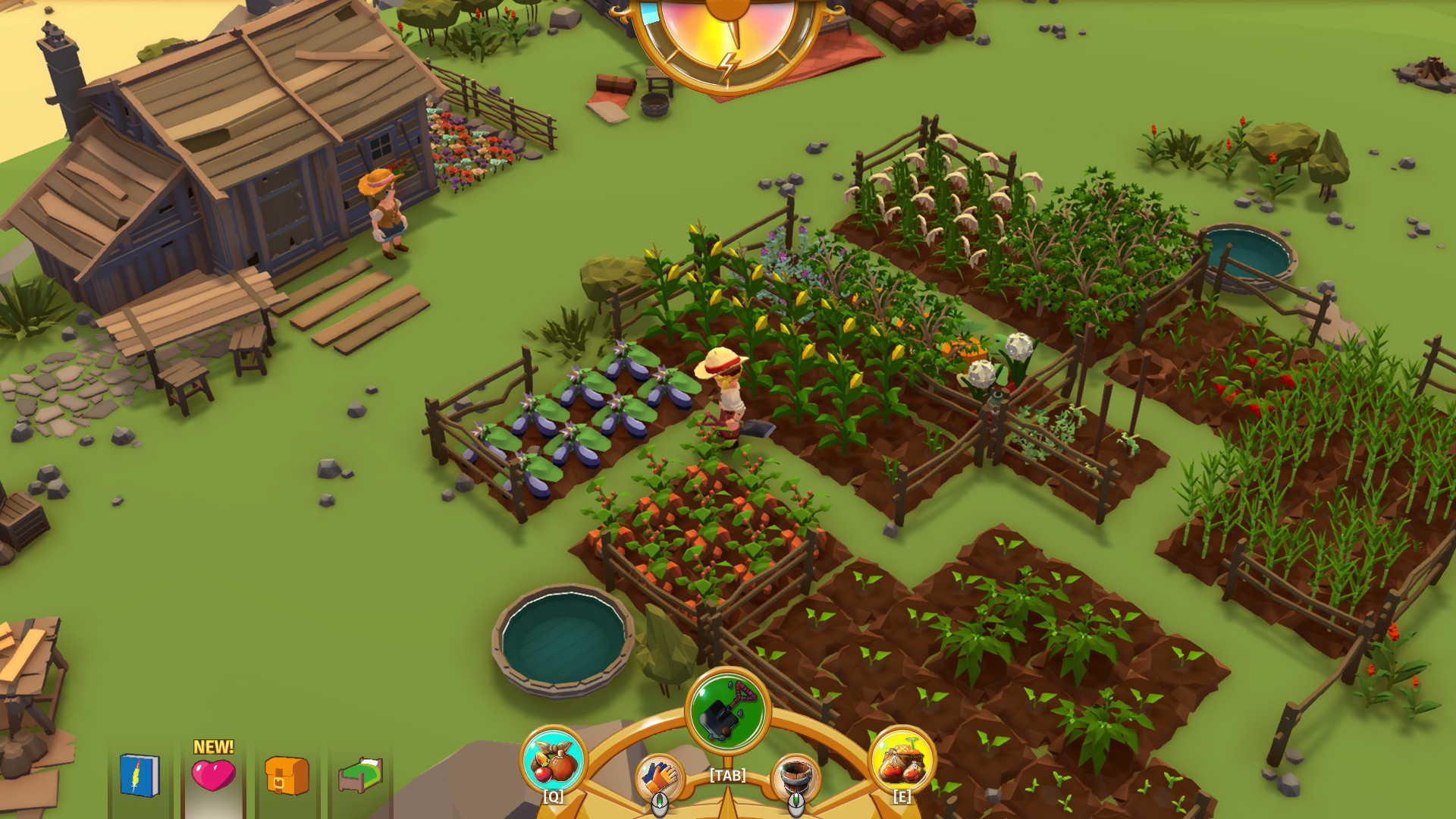 落难航船 Stranded Sails: Explorers of the Cursed Islands_2