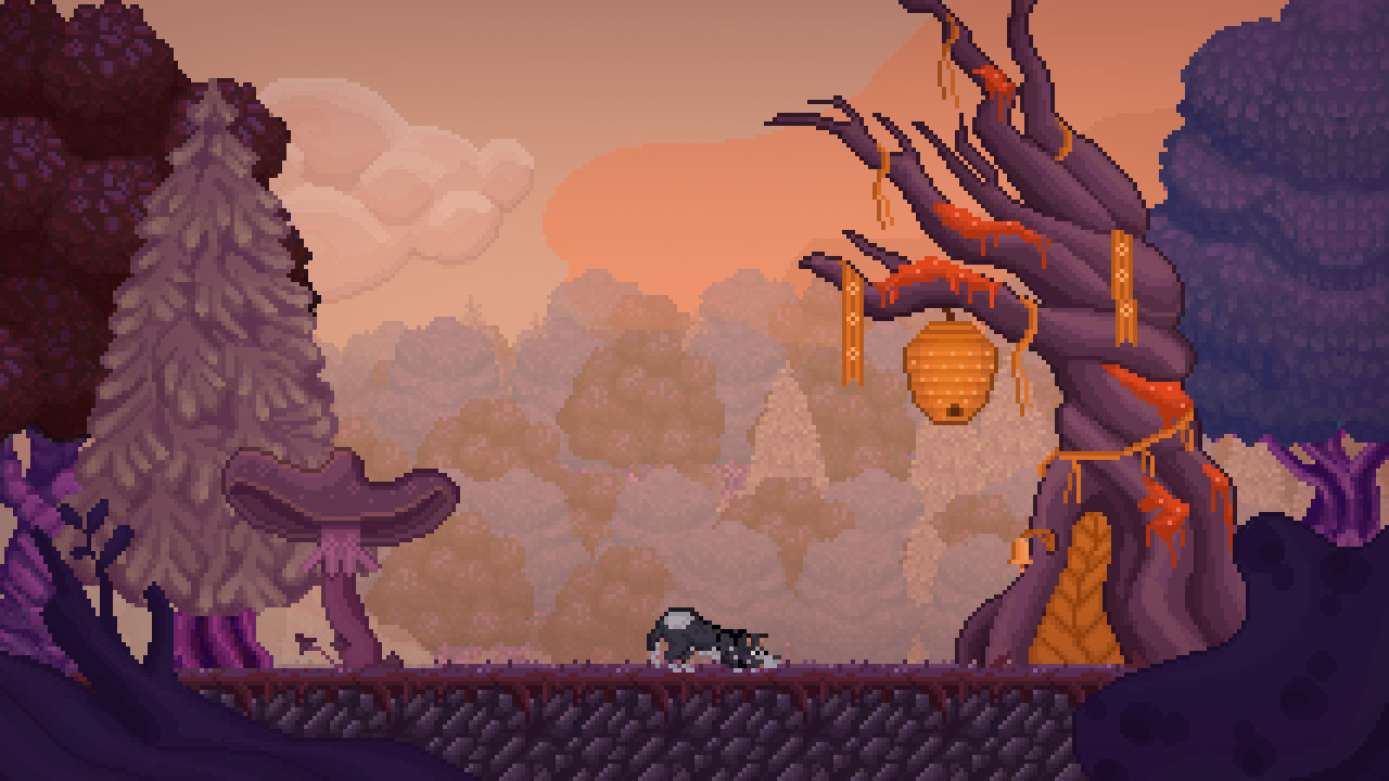 巴尔萨泽的梦境 Balthazars Dreams_1