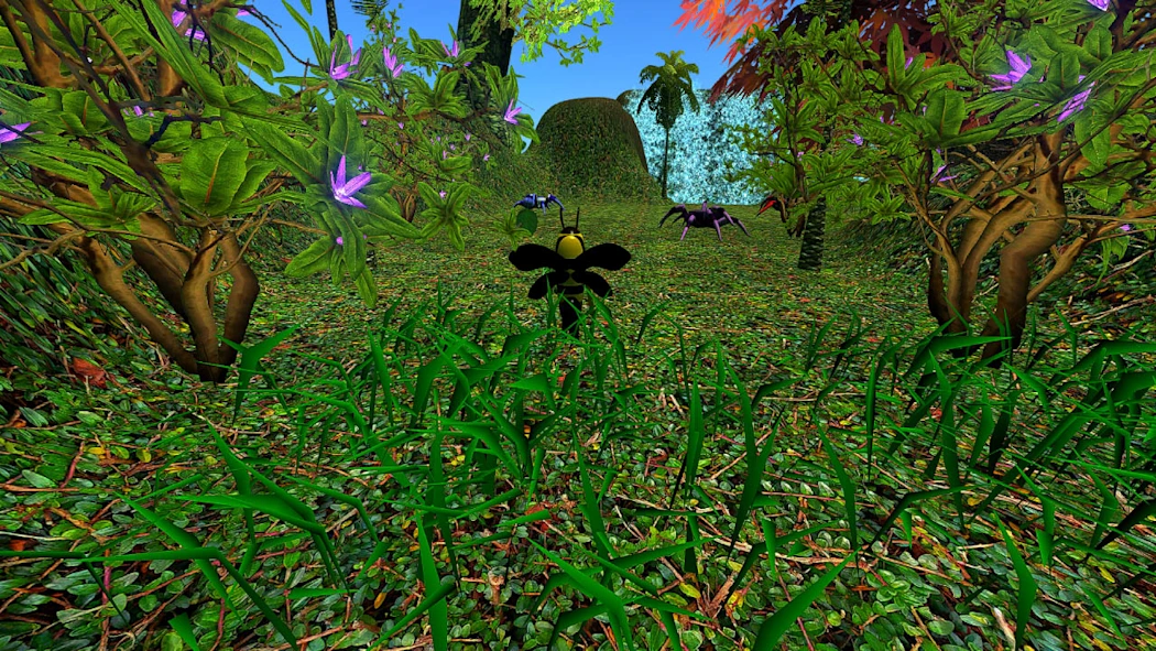 蜂巢 The Bee Hive_1